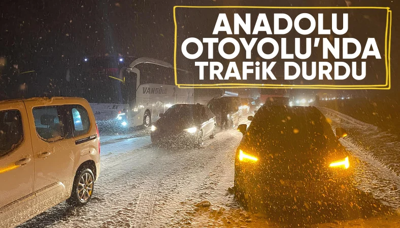 Anadolu Otoyolu'nda kar yağışı ulaşımı felç etti