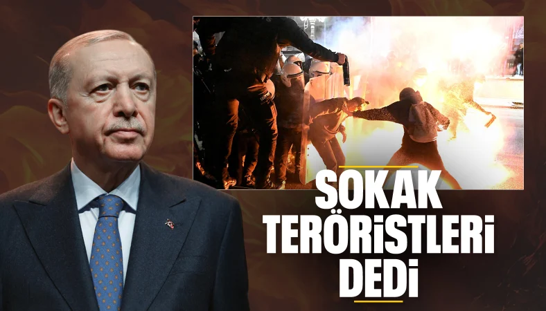 Cumhurbaşkanı Erdoğan: Polise saldıranlar sokak teröristidir