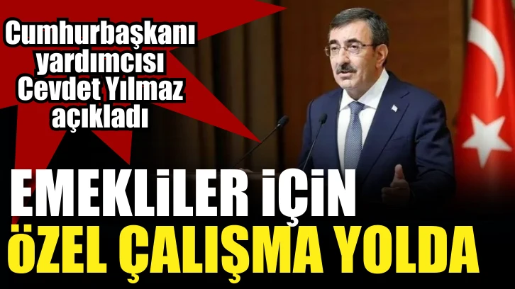 Cumhurbaşkanı Yardımcısı Cevdet Yılmaz açıkladı: Emekliler için özel çalışma yolda