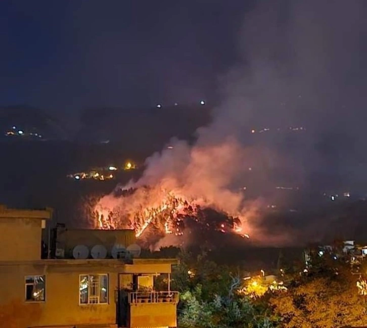 Kahramanmaraş'ta Ormanlık Alanda Çıkan Yangına Ekipler Müdahale Ediyor