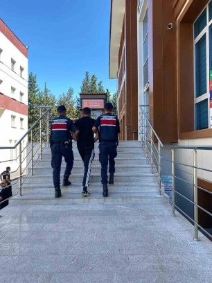 Yalova’da Aranan Hükümlü Yakalandı