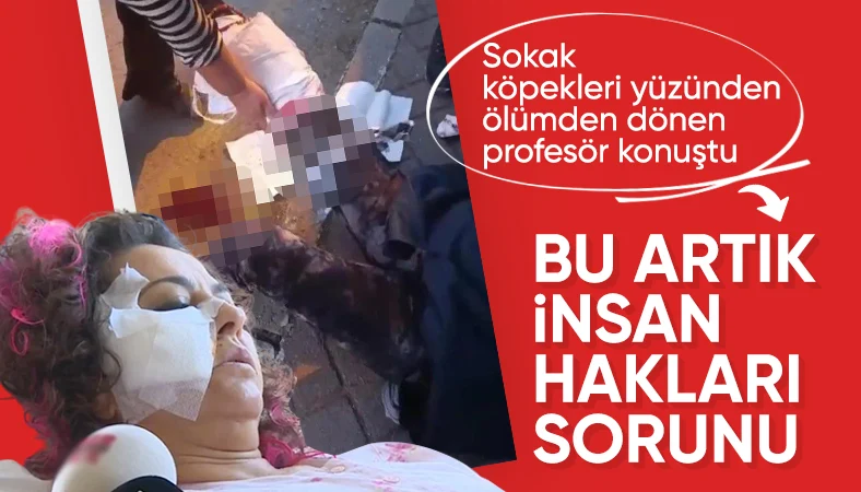 Ankara'da köpeklerin saldırdığı akademisyen: Bu artık insan hakları sorunu