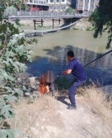 Asi Nehri Kenarında Mahsur Kalan Vatandaş Kurtarıldı