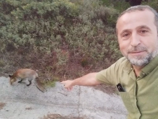 Çanakkale’de bir vatandaş aç tilkiyi kendi elleriyle besledi