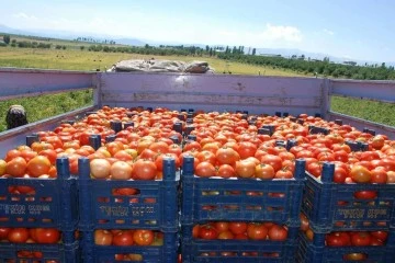 Domatesi 250 TL’ye yersiniz. Türkiye'ye son uyarı yapıldı