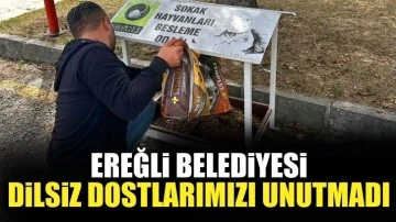 Ereğli Belediyesi'nden dilsiz dostlara mama desteği