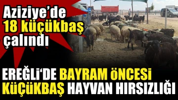 Ereğli'de Kurban Bayramı öncesi hırsızlık! 18 küçükbaş çalındı