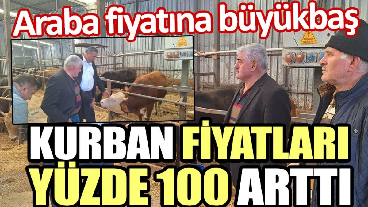 Kurban fiyatları yüzde 100 arttı. Araba fiyatına büyükbaş