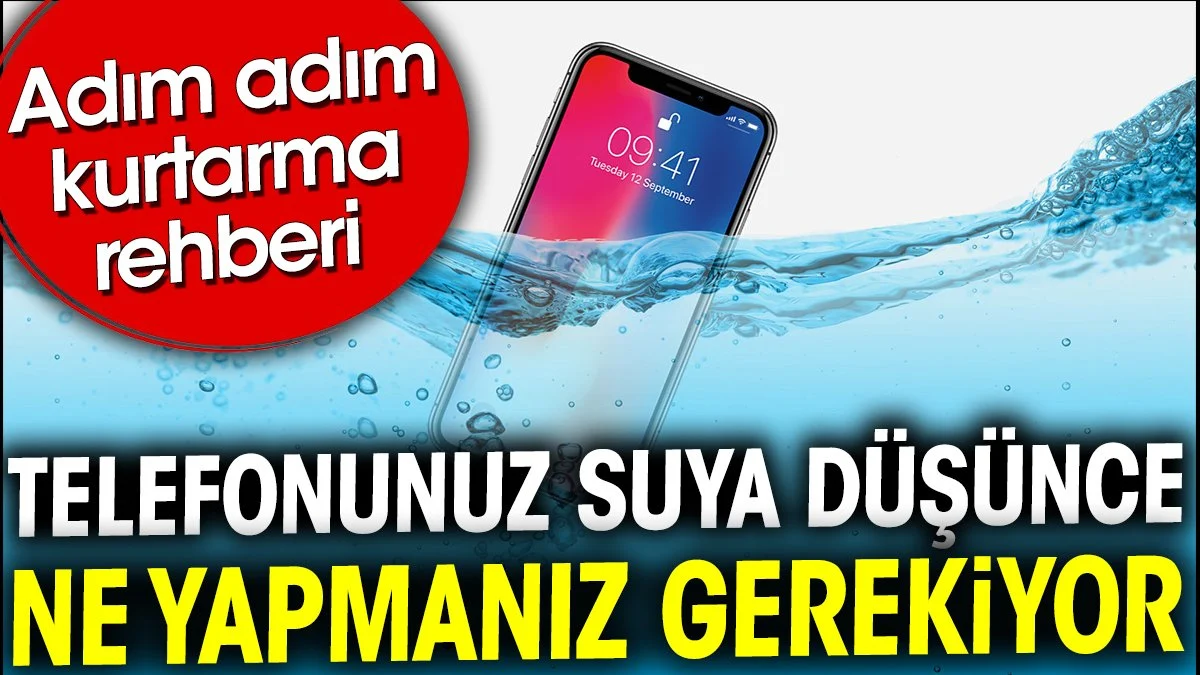 Telefonunuz suya düşünce ne yapmanız gerekiyor. Adım adım kurtarma rehberi